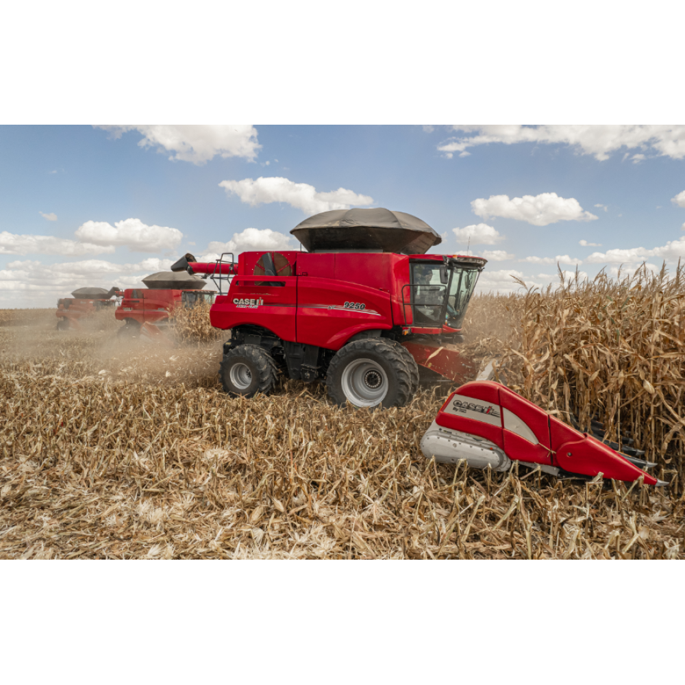 Plataforma de Milho CASE IH by GTS