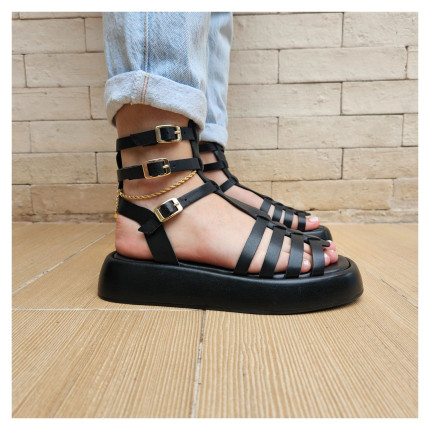 Papete Gladiadora Carrano