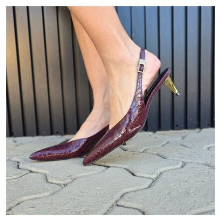 Sligback Werner Vinho