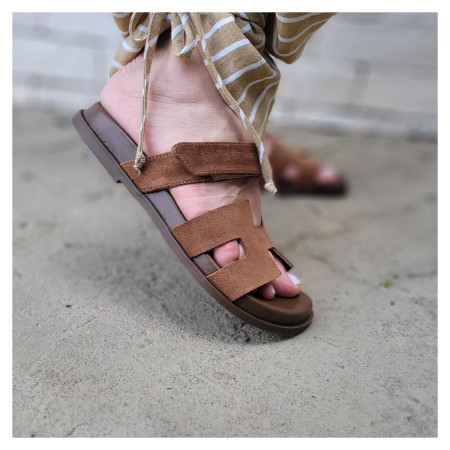 Birken Klaus Damares