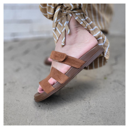 Birken Klaus Damares