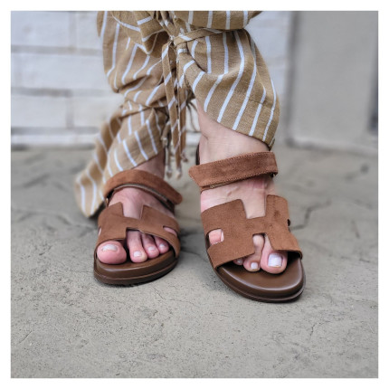 Birken Klaus Damares