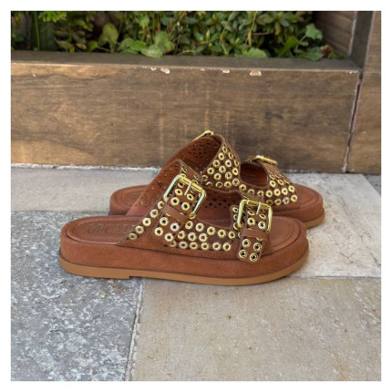 Birken Ilhós Orcade