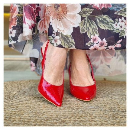 Scarpin Klaus Helena