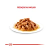 Ração Úmida Royal Canin Pedaços ao Molho Sachê para Gatos Adultos Castrados 85 g