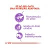 Ração Úmida Royal Canin Pedaços ao Molho Sachê para Gatos Adultos Castrados 85 g