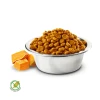 Ração Pumpkin N&D para Gatos Adultos Castrados Sabor Frango 400g