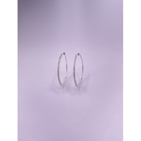 Brincos Argola Diamantes