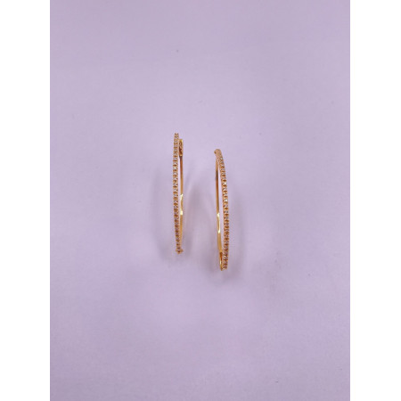 Brincos Argola com Diamantes