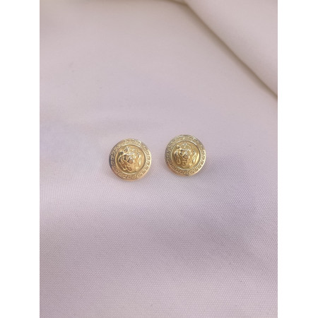 Brincos Medalha Leão