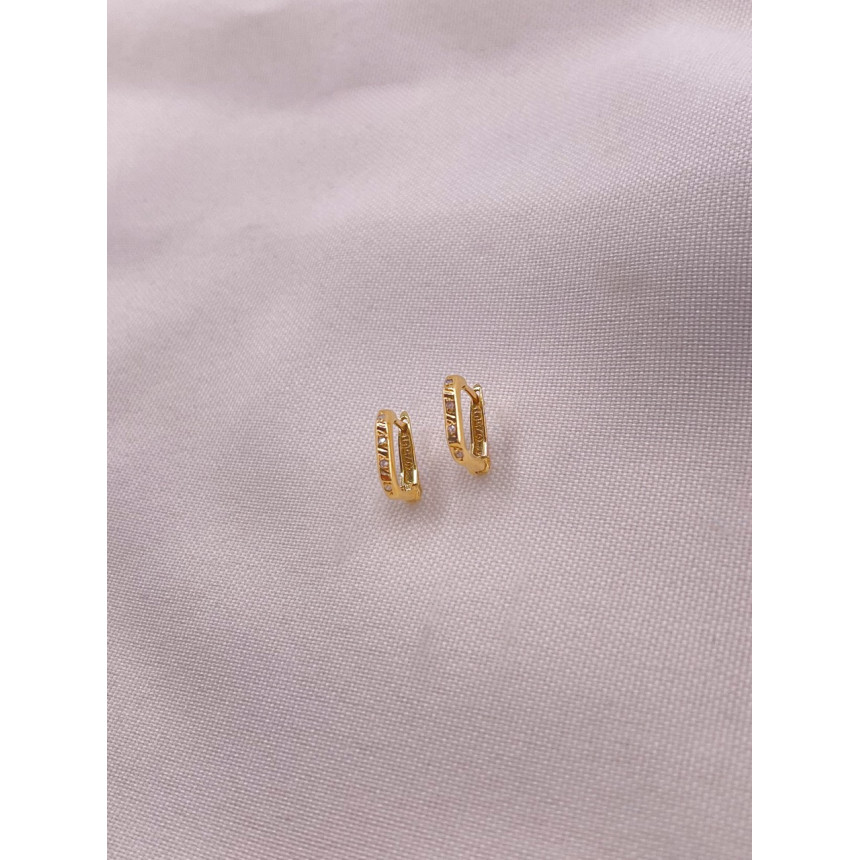 Brincos Argola com Diamantes