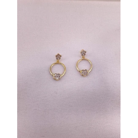 Brincos Círculos com Flores