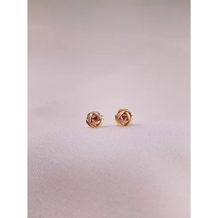 Brincos Rosas Dois Tons