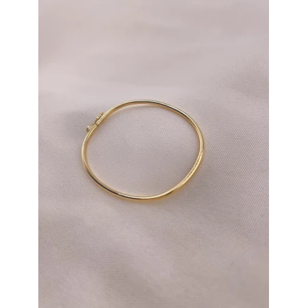 Bracelete Algema