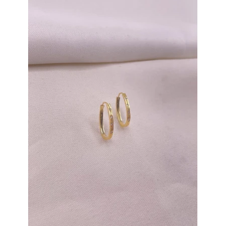 Brincos Argola com Diamantes