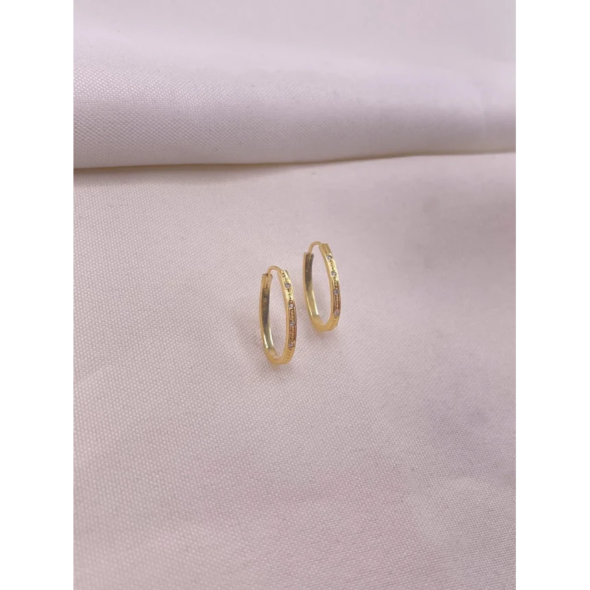 Brincos Argola com Diamantes