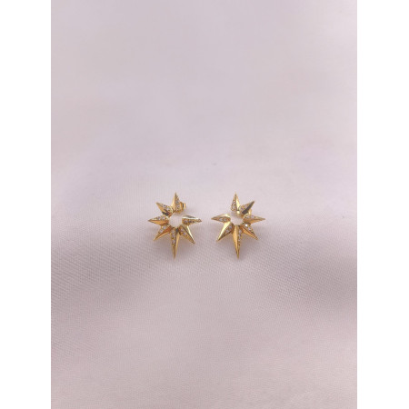 Brincos Estrela Estilizada  com Diamantes
