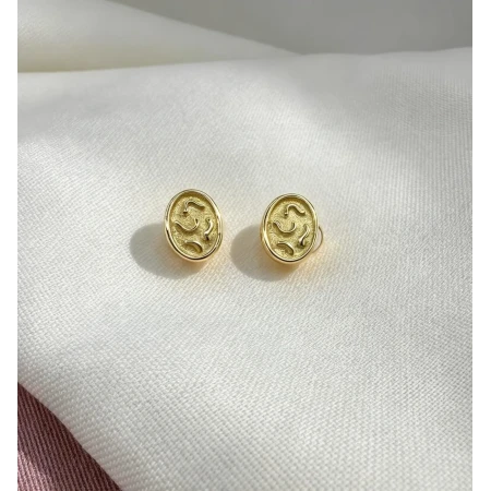 Brincos Oval, Acetinado e Polido
