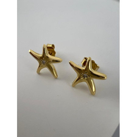 Brincos Estrela do Mar