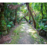 Ingresso Inteira Estância Hidromineral