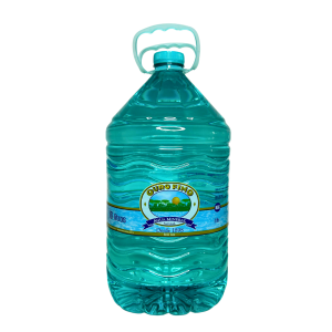 Garrafão 10 L - Descartável