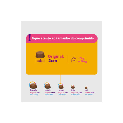 Bravecto 500 mg - cães de 10 a 20 kg - 1 comprimido