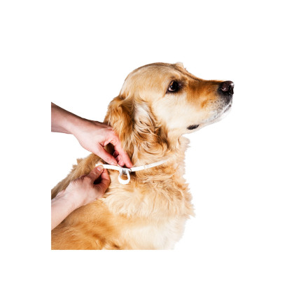 Scalibor Coleira 25 g para Cão Grande