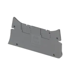 PLACA ES10-ST EXTREMIDADE P/ ZS10 ST T4