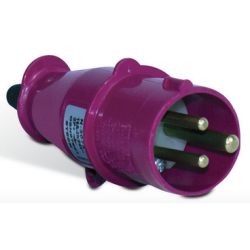 PLUG N 3072  2P+T 16A  24V