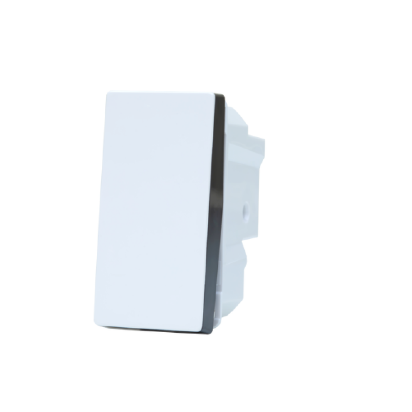 INTERRUPTOR N1101 BN SIMPLES 10A 250V BICOLOR MODULAR