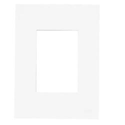 PLACA 4'' X 2'' 3 POSTOS - BRANCO - N2373.1 BL - LINHA ZE