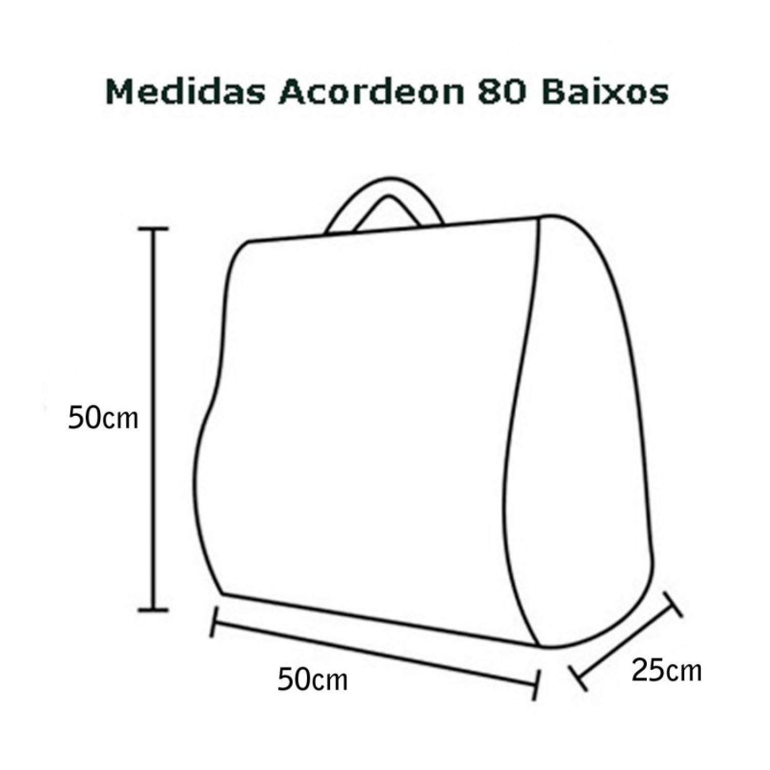 Capa Acordeon 80 baixos