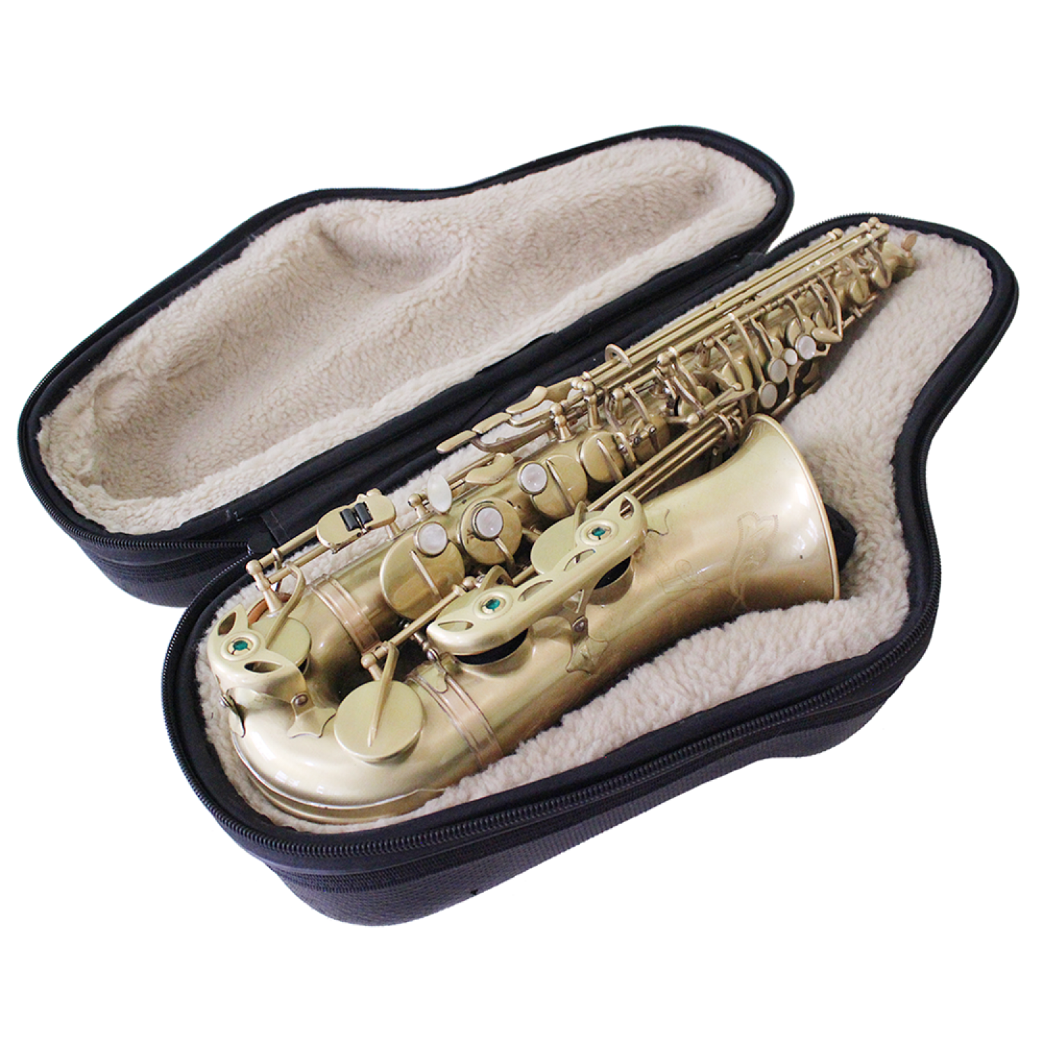 Case Sax Alto
