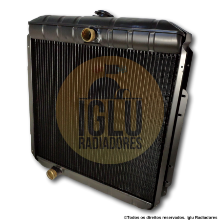 Radiador Para Ford F600 Avarentão, F11000, F21000