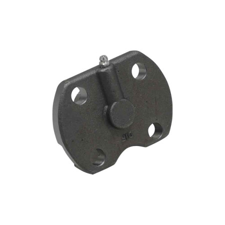 flange inferior dif - 85805983