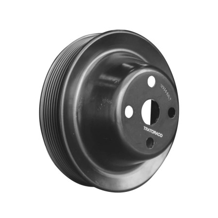 Polia da Bomba D Água New Holland e Case - 75310005