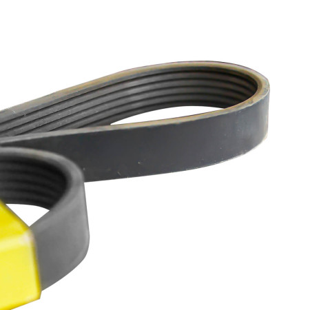 Correia 6PK1495 Goodyear