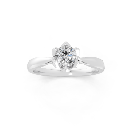 Anel Tulinea 40 Pontos Ouro Branco