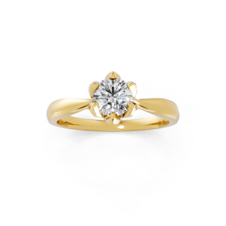 Anel Tulinea 50 Pontos Ouro Amarelo